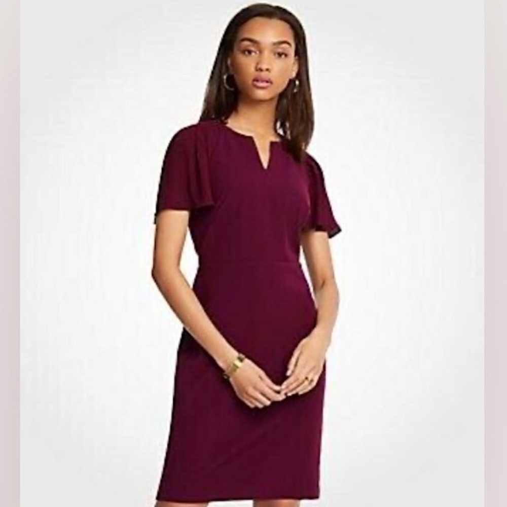 Ann Taylor Dress (Petite)